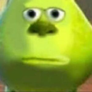 Meet your Posher, Karan